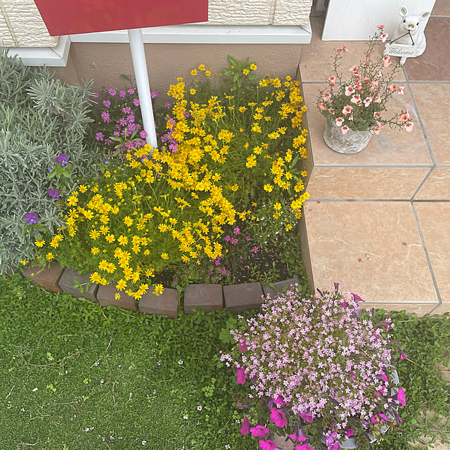 sanaさんの実例写真