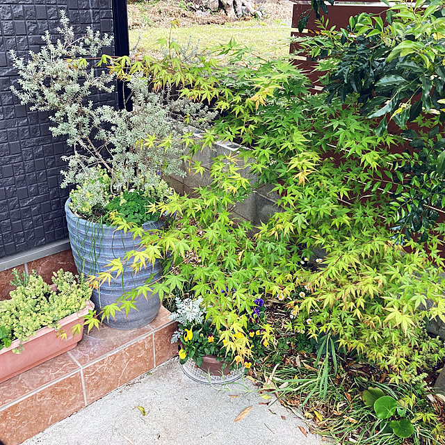 1546さんの実例写真