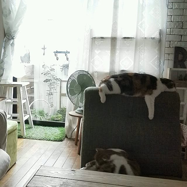 mikiさんの実例写真