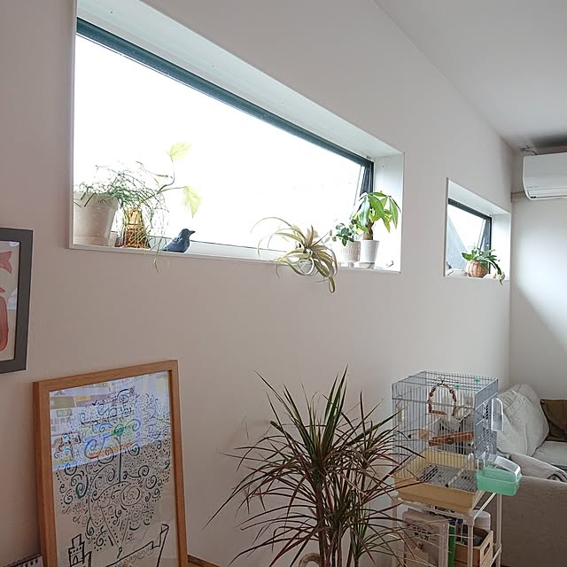 otokiさんの部屋