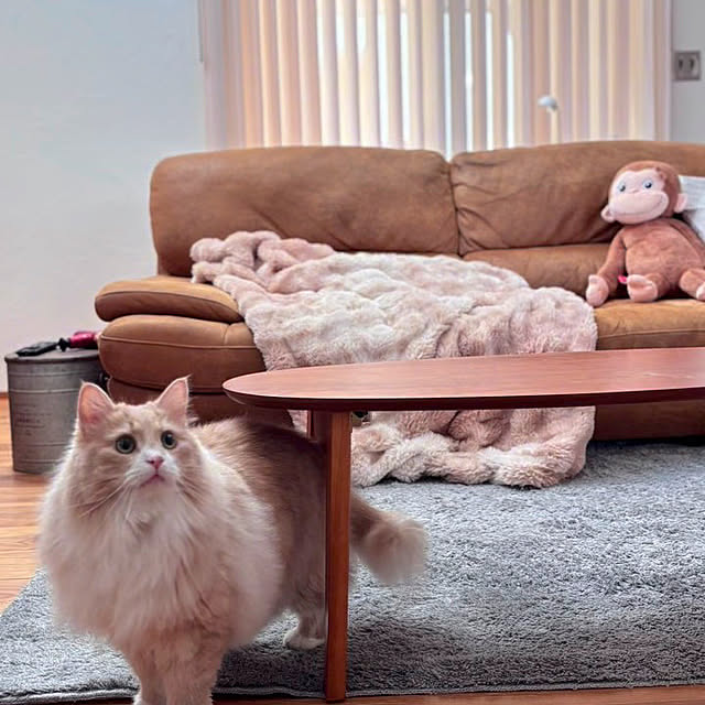 chibinoriさんの部屋