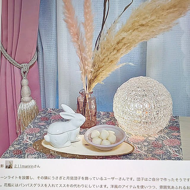 2.11maririnさんの部屋
