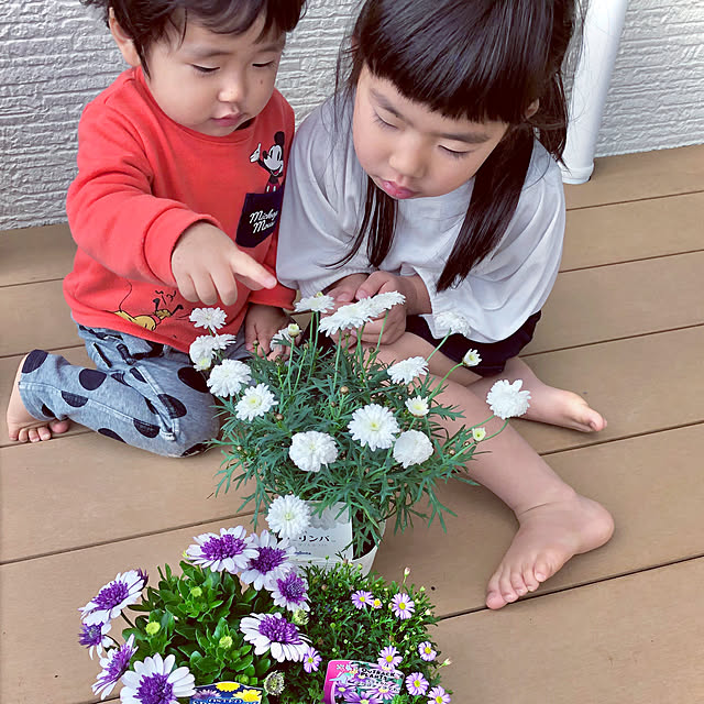hinamamaさんの実例写真