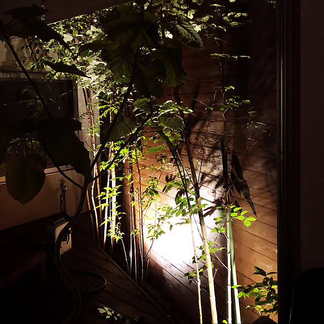 leafさんの実例写真