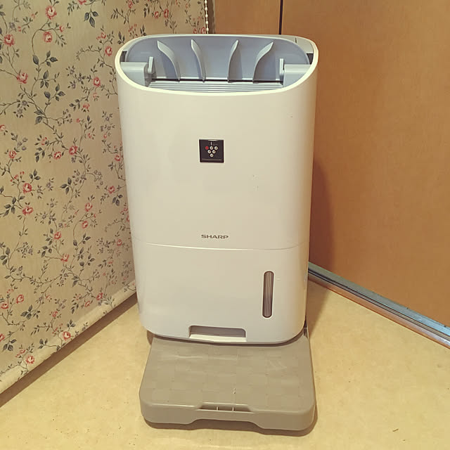 raindropさんの実例写真