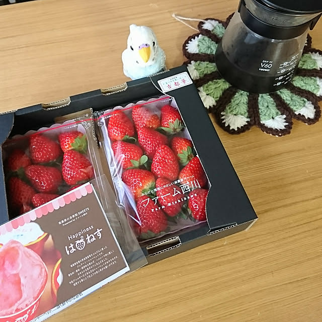 dadaさんの実例写真