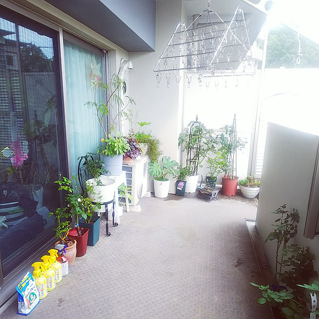 hiromimiさんの実例写真