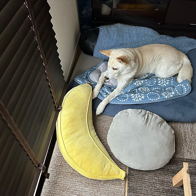 tanboさんの部屋