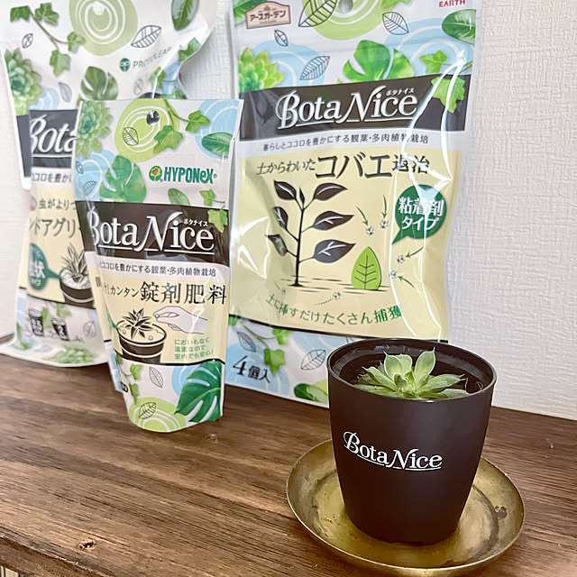 micoさんの部屋