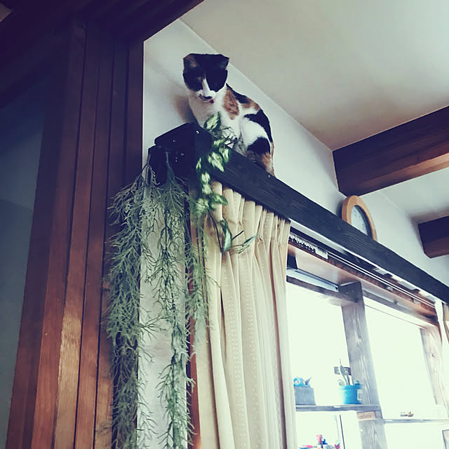 maroさんの実例写真