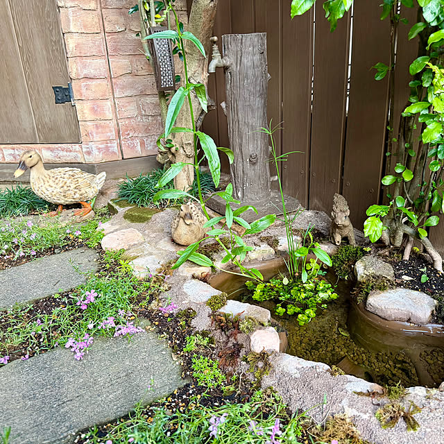 tabasaさんの部屋