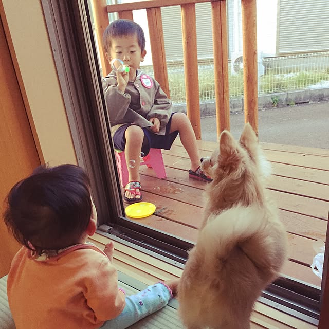 maiiiiiikofujiさんの実例写真