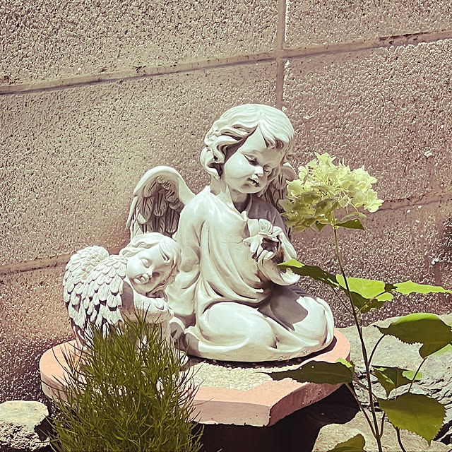 missanさんの実例写真