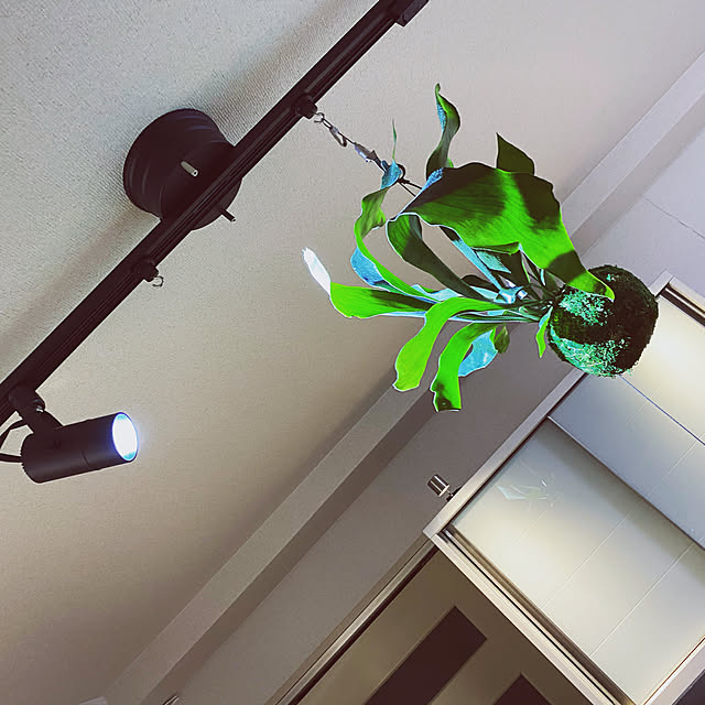 mm_さんの実例写真