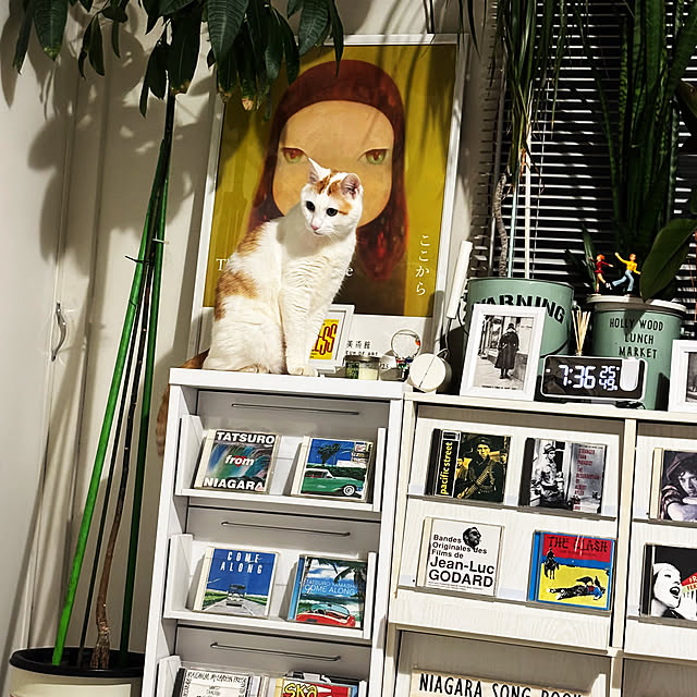 arayanさんの実例写真