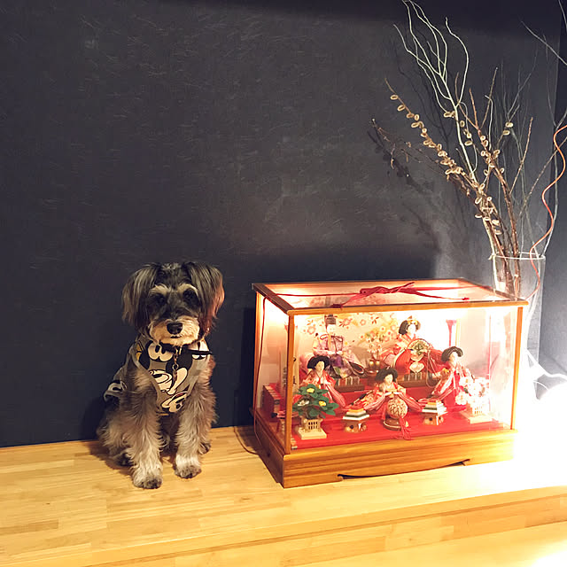 tommybondさんの実例写真
