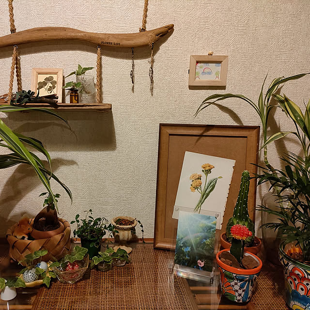 7michikomanさんの実例写真