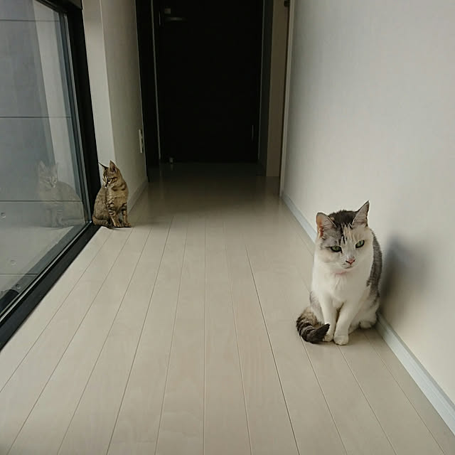 sakurako.0x0.さんの実例写真