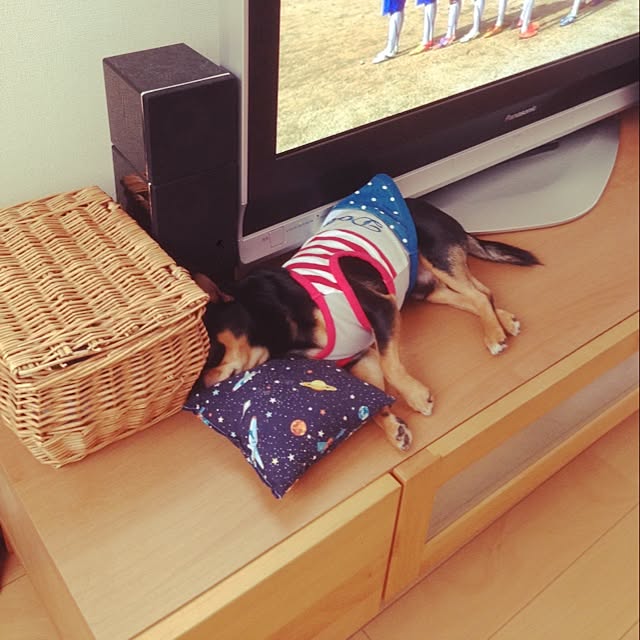 yokkoさんの実例写真