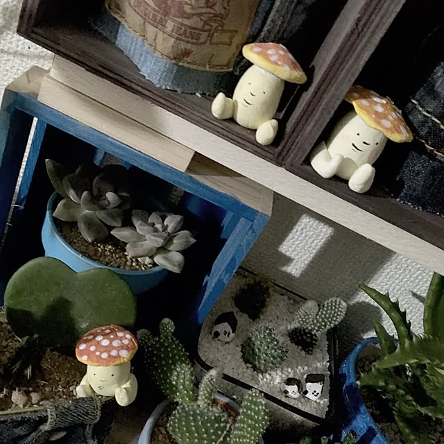 rk5kuuさんの実例写真