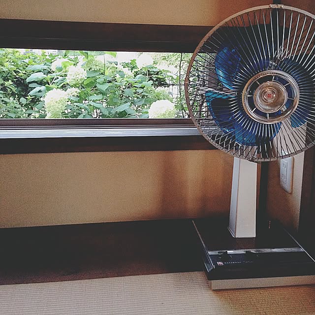 Kanakoさんの実例写真