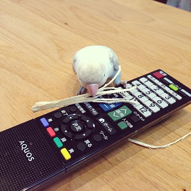 hanakoさんの実例写真