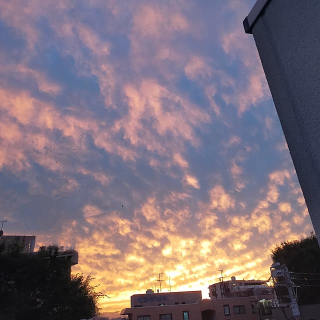 vol.3805写真