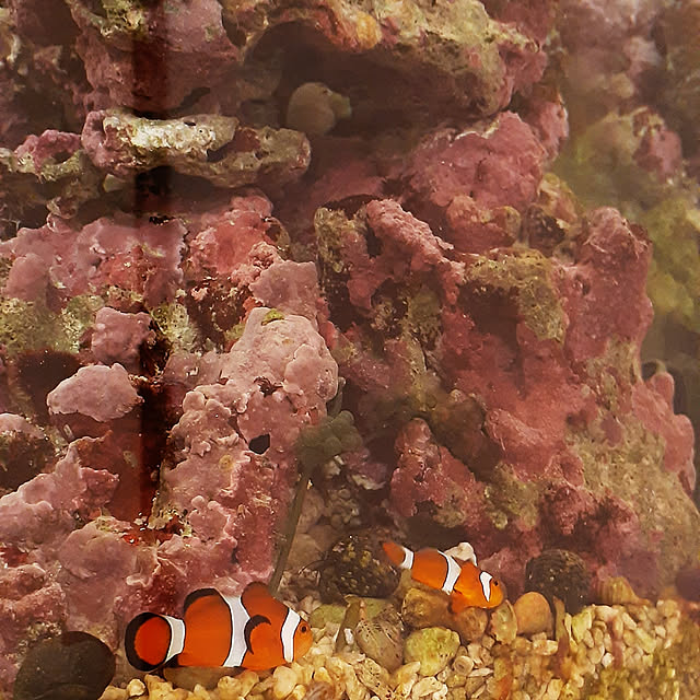 amtさんの実例写真