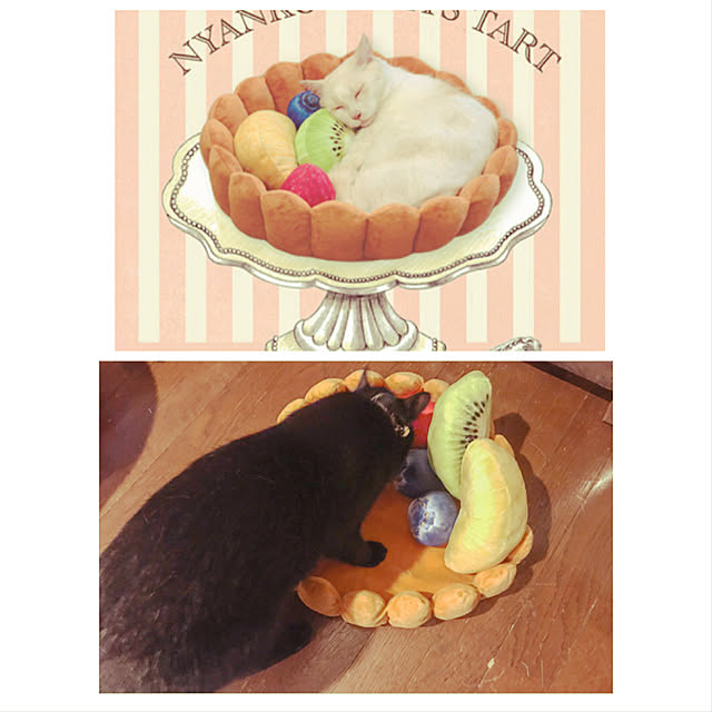 miさんの実例写真