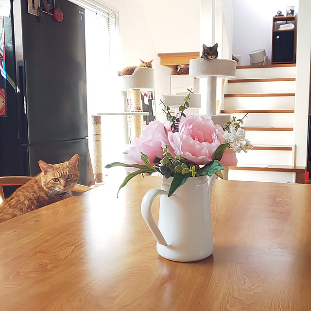 37さんの実例写真