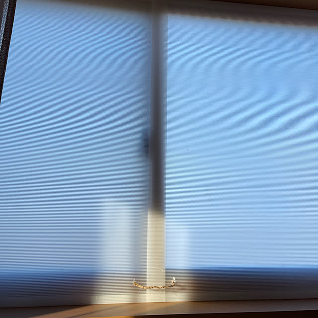 Mayuさんの実例写真
