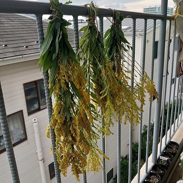 toramamaさんの部屋