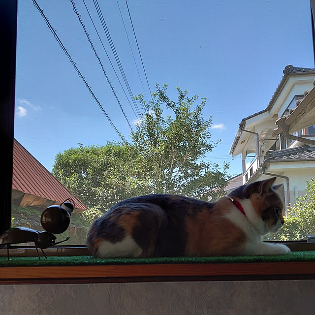 fukuさんの実例写真