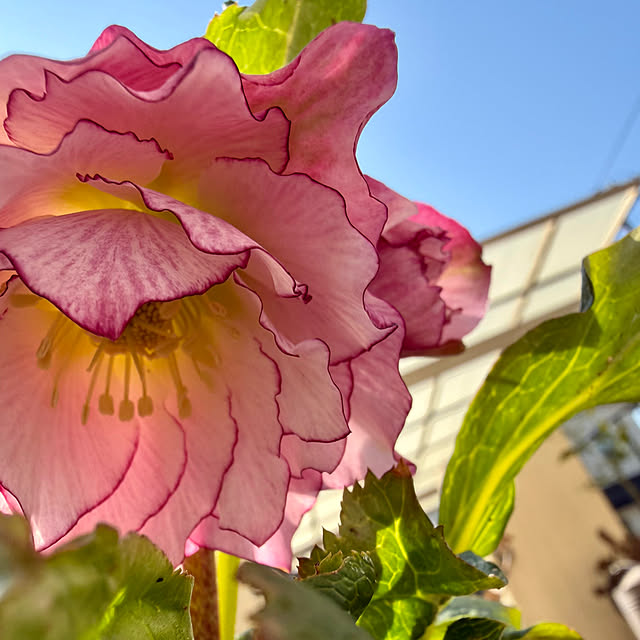 ma...さんの実例写真