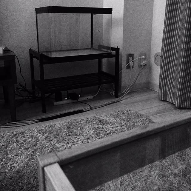 tsr_mtmさんの実例写真