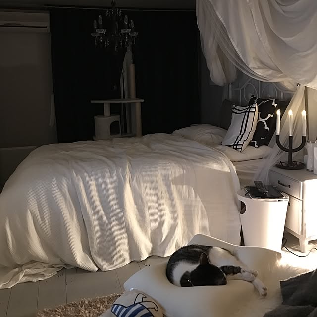Shihoさんの実例写真