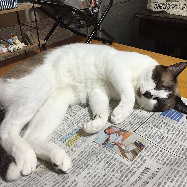 vivienne.coco-keiさんの実例写真