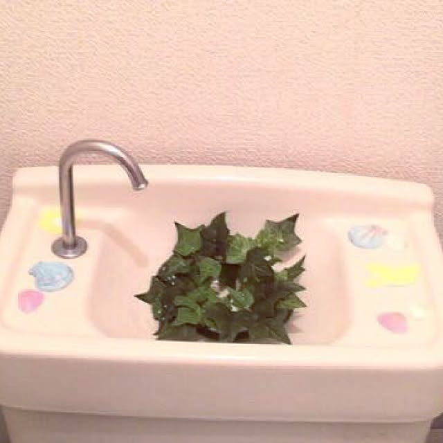 Lotus8Flowerさんの実例写真