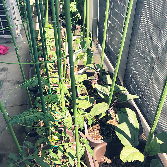 hanachanさんの部屋