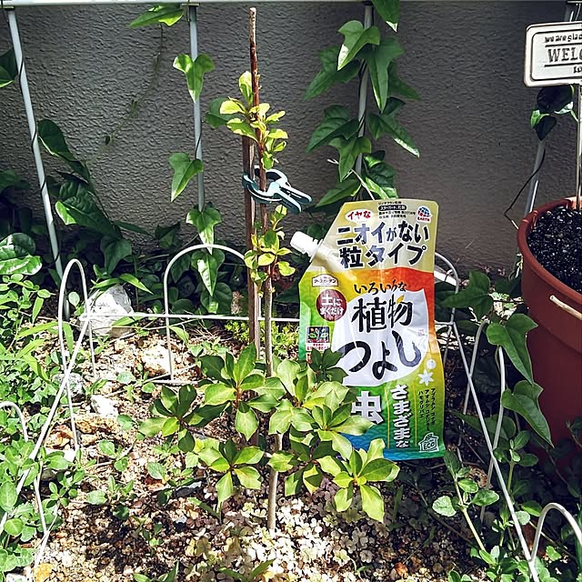 h.t.さんの実例写真