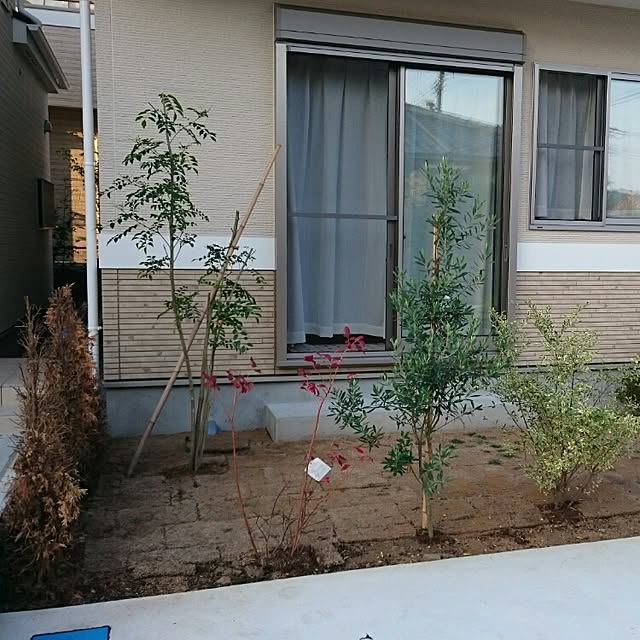 makitomonさんの実例写真