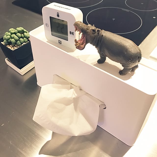 riakanaさんの実例写真