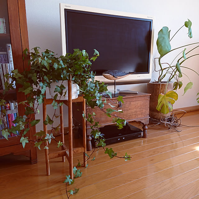 horohorotoriさんの実例写真