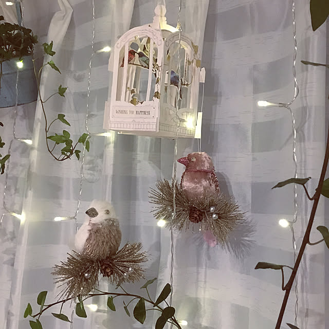 hako_haruさんの実例写真