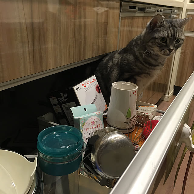 mikomaruさんの実例写真