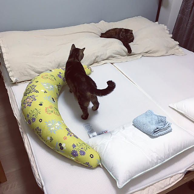 mikomaruさんの実例写真