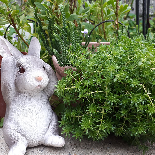 aiさんの実例写真