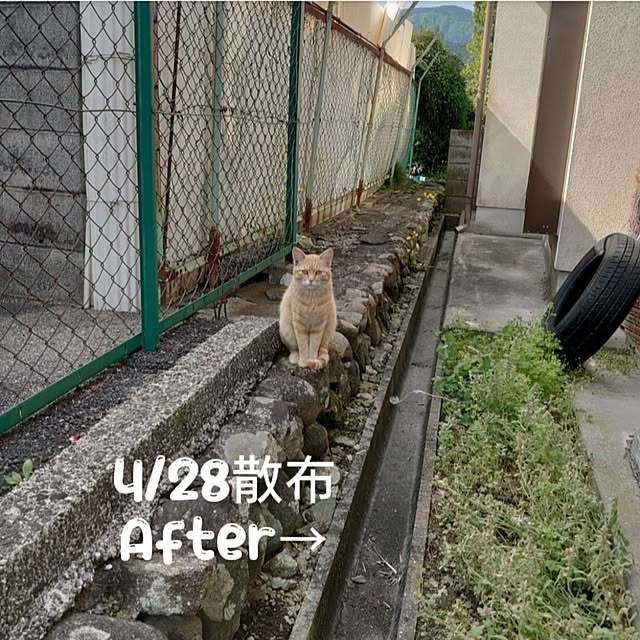 fukuさんの部屋
