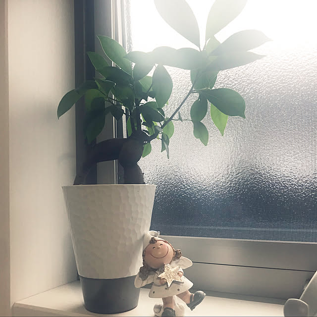 Momooさんの実例写真