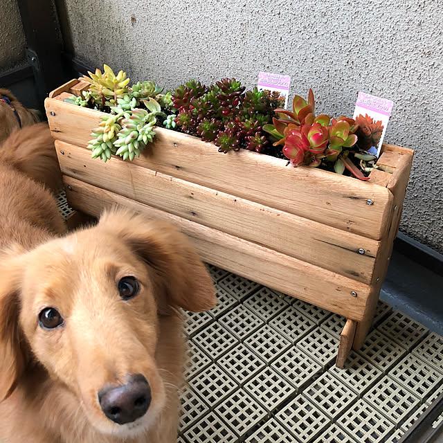 ki-mi0808さんの実例写真
